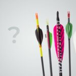 feathers_and_vanes_banner